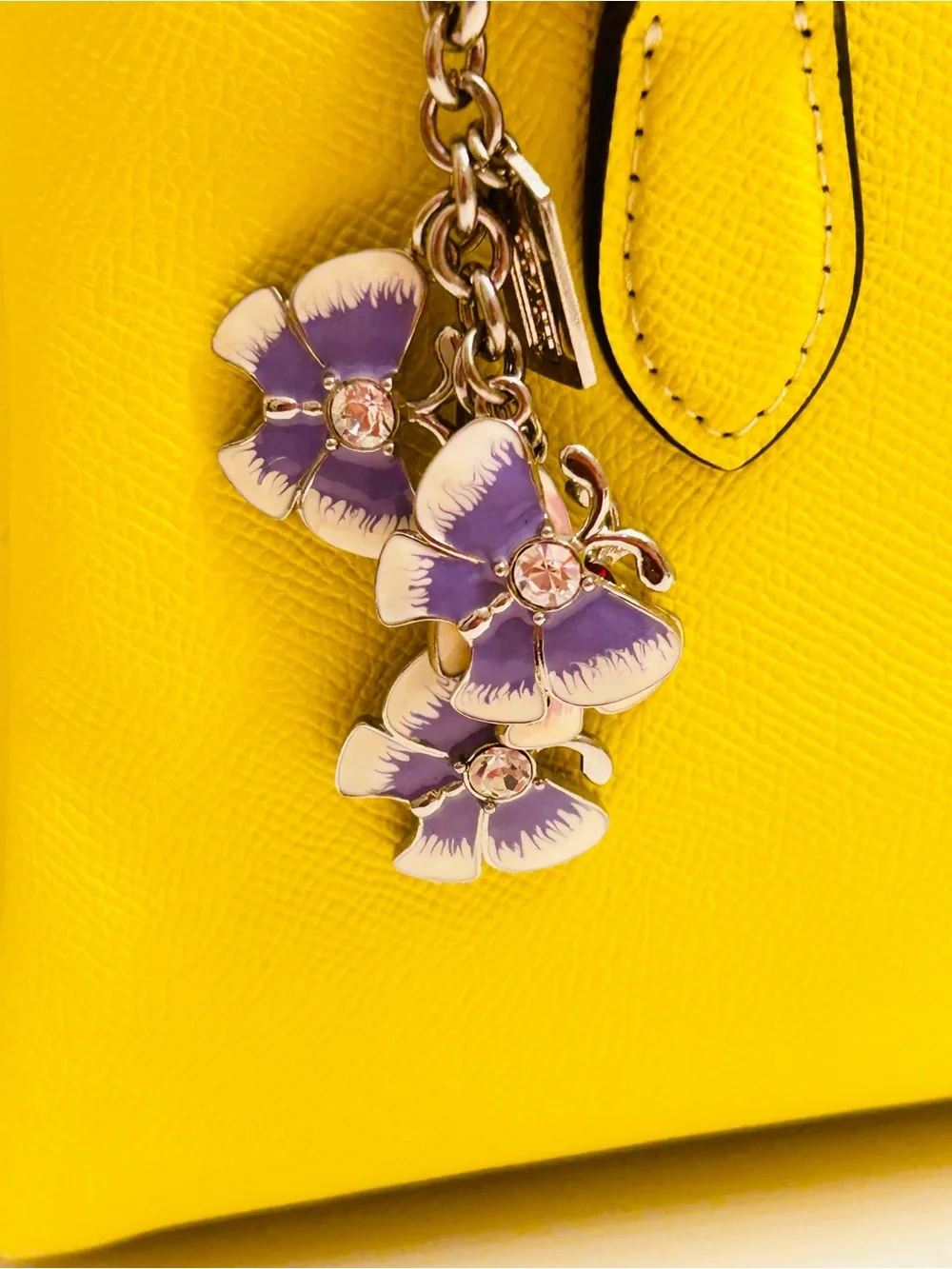 EXTREMELY RARE Coach Y2K Butterfly Charm Keychain/ Bag Charm
